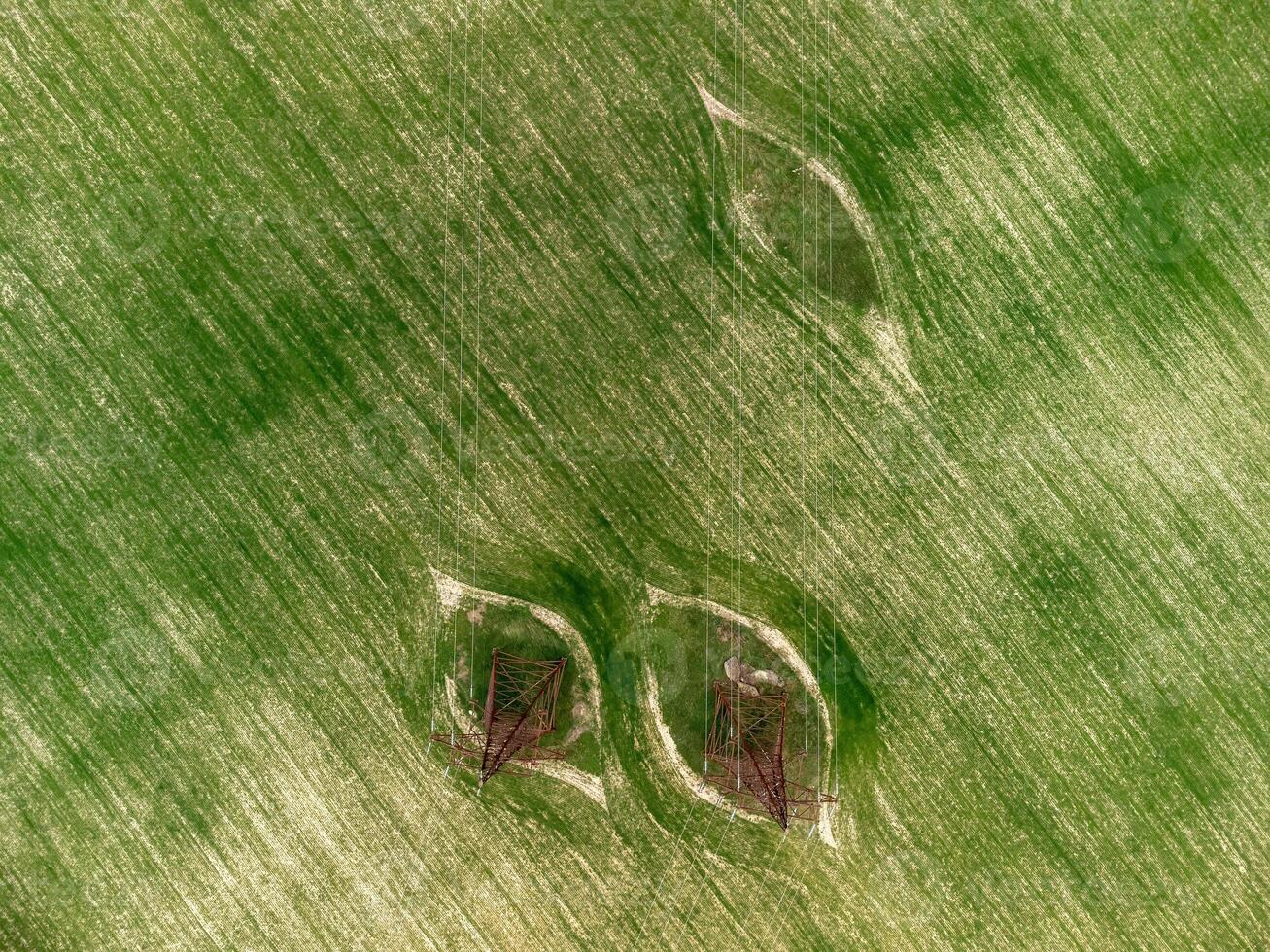 Leistung Pylone im Grün Feld. Antenne Aussicht auf Grün Weizen Feld mit Leistung Pylone im Landschaft. Feld von Weizen weht im das Wind auf Sonnenuntergang. Agronomie, Industrie und Essen Produktion. foto