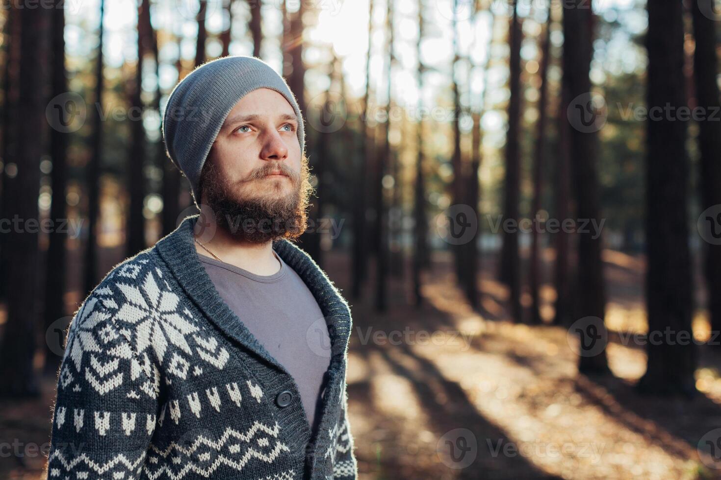 ein jung Mann mit ein Bart Spaziergänge im ein Kiefer Wald. Porträt von ein brutal bärtig Mann Herbst Wald foto