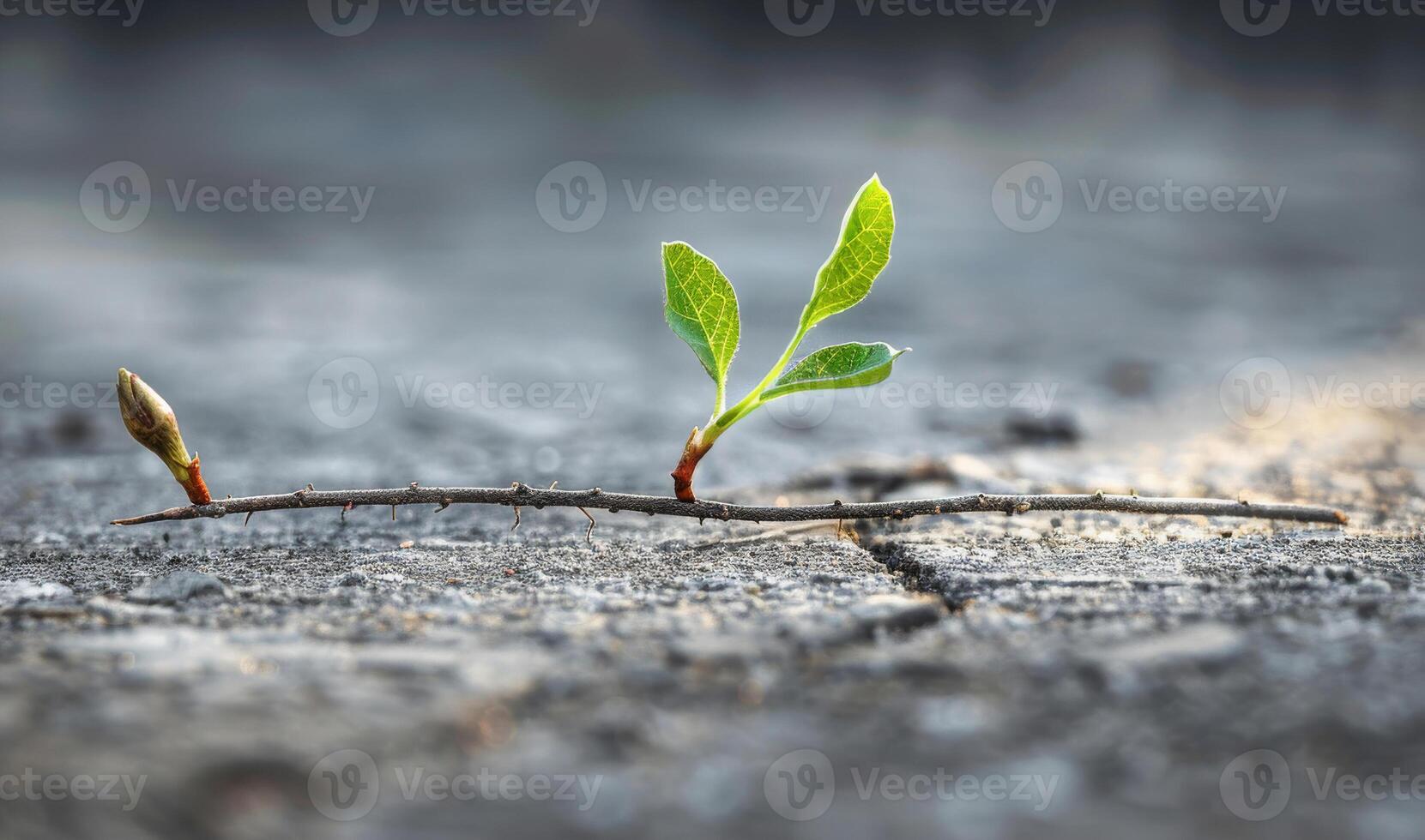 ai generiert klein Grün Pflanze Sprossen von Riss im das Asphalt. foto