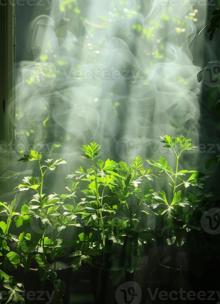 ai generiert Pflanzen wachsend im Gewächshaus mit Sonnenstrahlen und Rauch foto