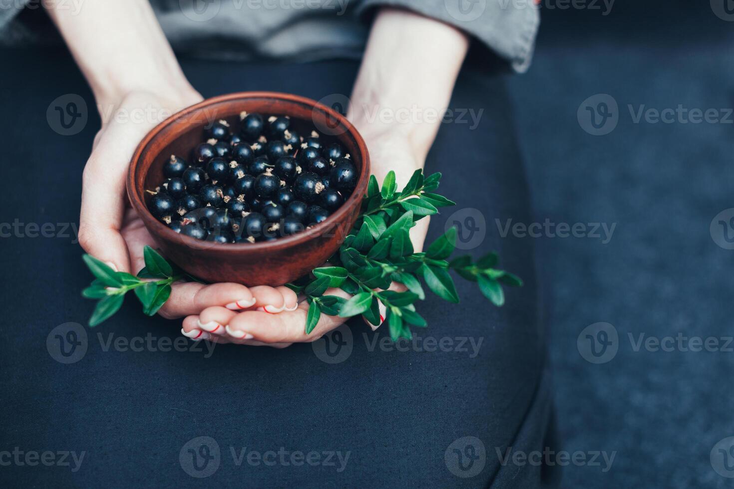 traditionell Chinesisch Tee Zeremonie mit schwarz Johannisbeere, Obst Tee und gesund Lebensmittel. Foto ohne Personen. Sommer- natürlich Vitamine und Beeren