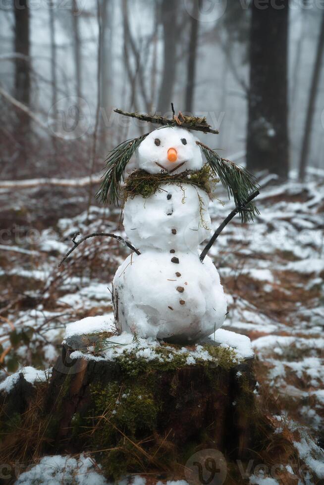 Schneemann auf ein Baum Stumpf mit Karotte, Tasten, Geäst, Kiefer Nadeln wie Haar foto