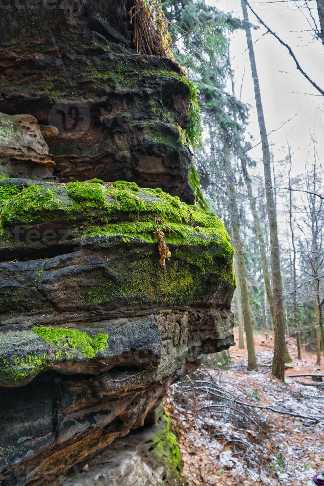 Aussicht Über Sandstein bewachsen mit Moos zu schneebedeckt und frostbedeckt Bäume foto