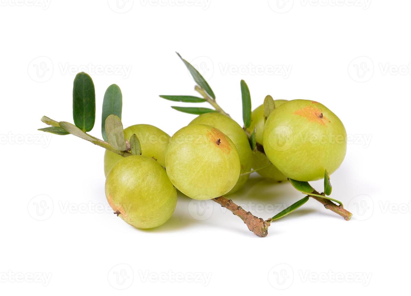 Stachelbeeren auf weißem Hintergrund foto