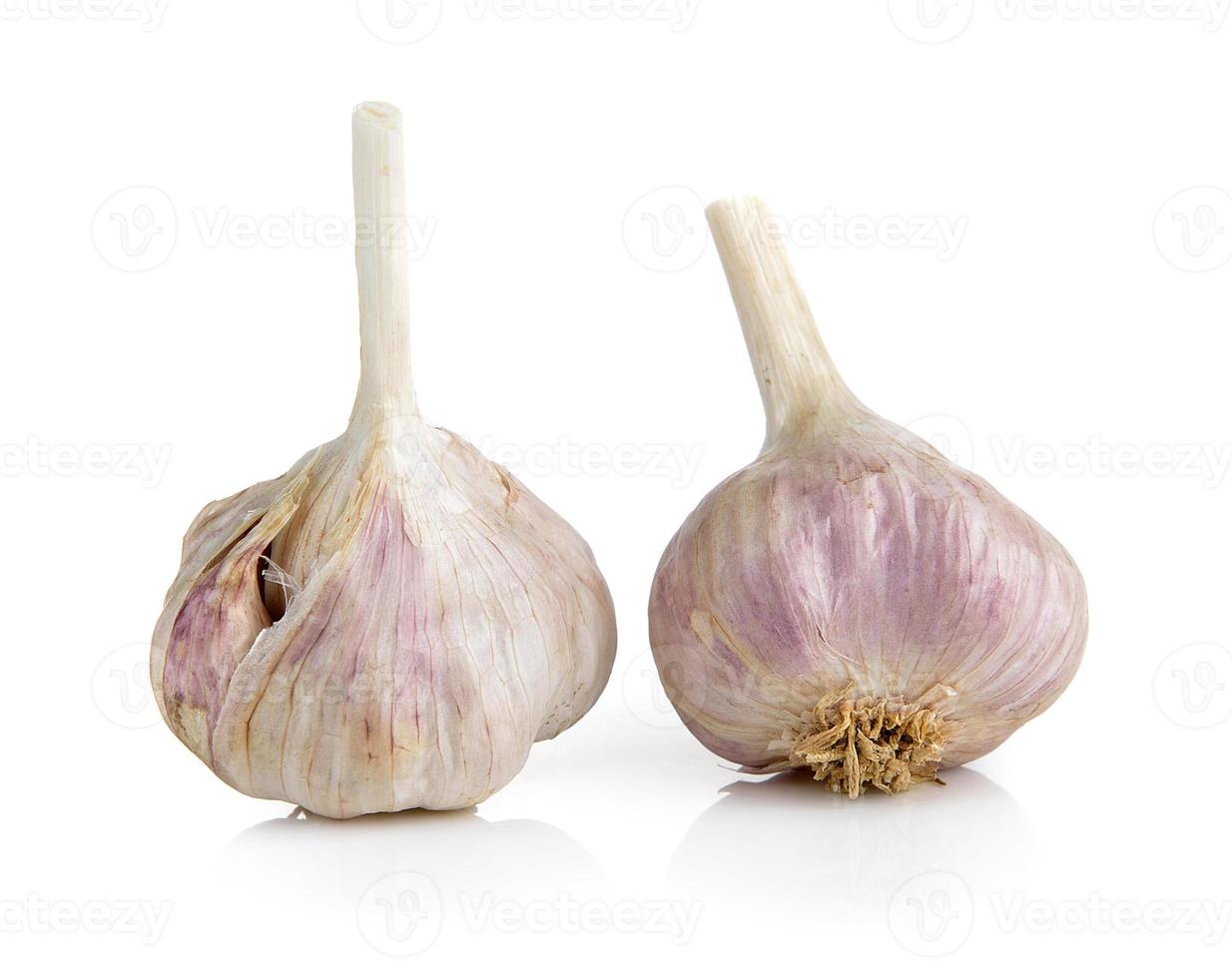 Knoblauch auf weißem Hintergrund foto