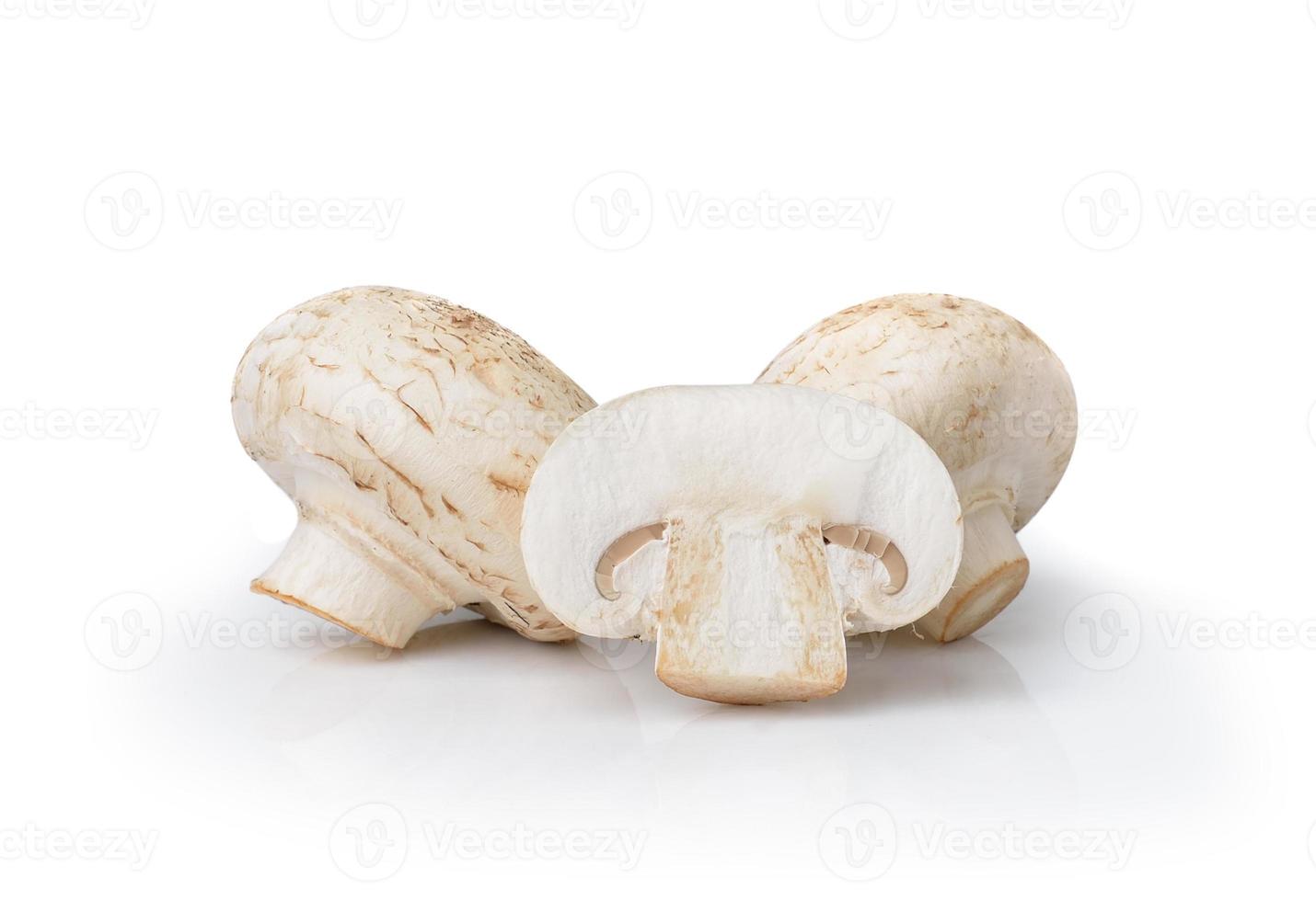 Champignon-Pilz isoliert auf weißem Hintergrund foto