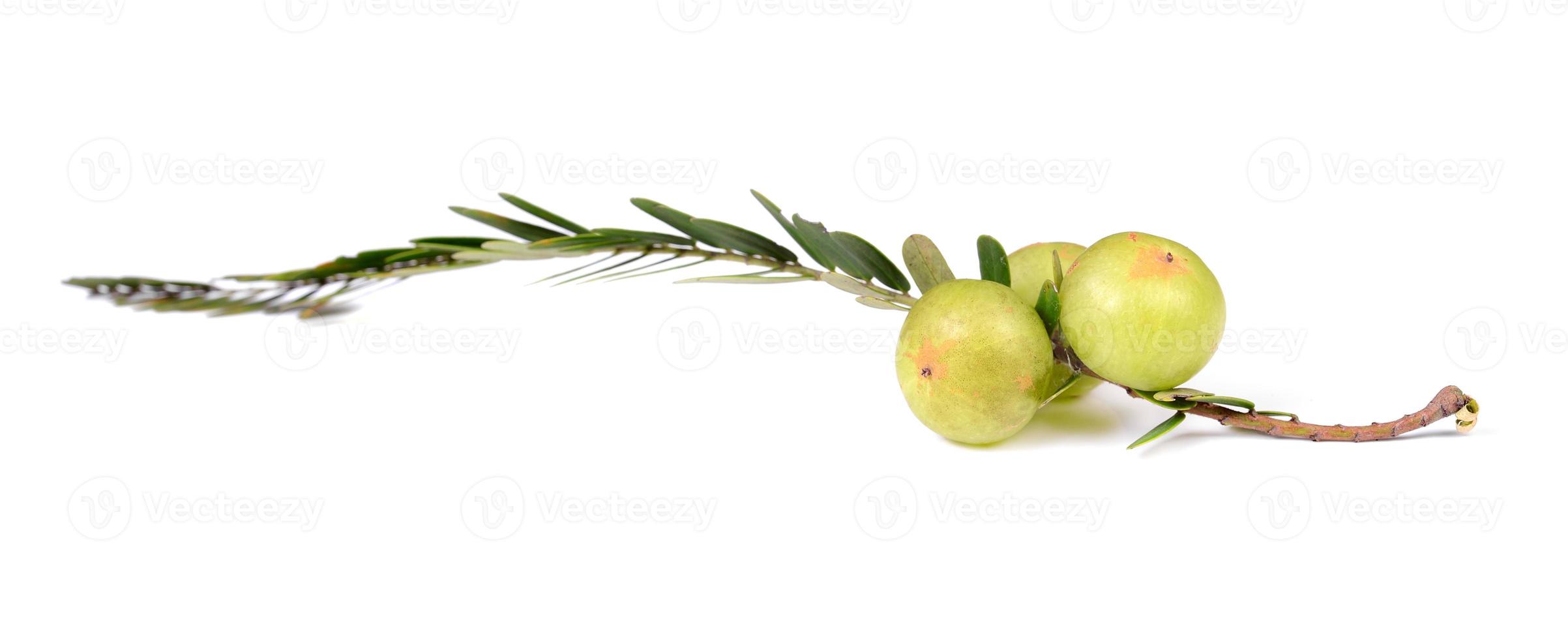 Stachelbeeren auf weißem Hintergrund foto