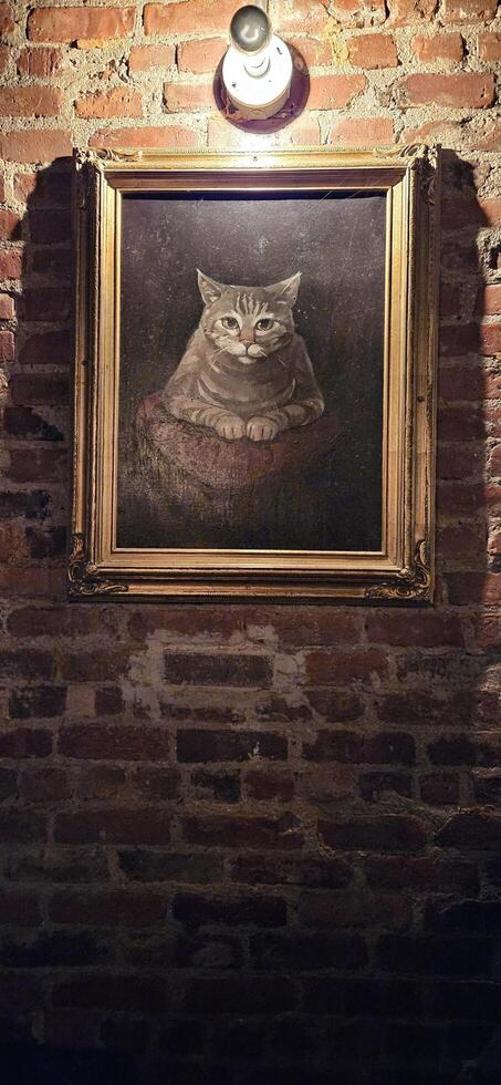 ein Katze auf das Mauer foto
