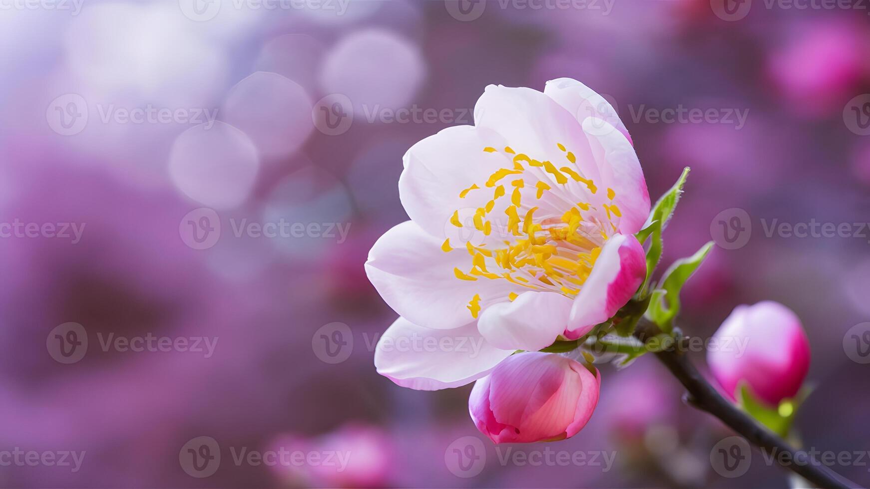 ai generiert Frühling Blume blühen Nahansicht mit Bokeh Hintergrund, Frühling Natur foto