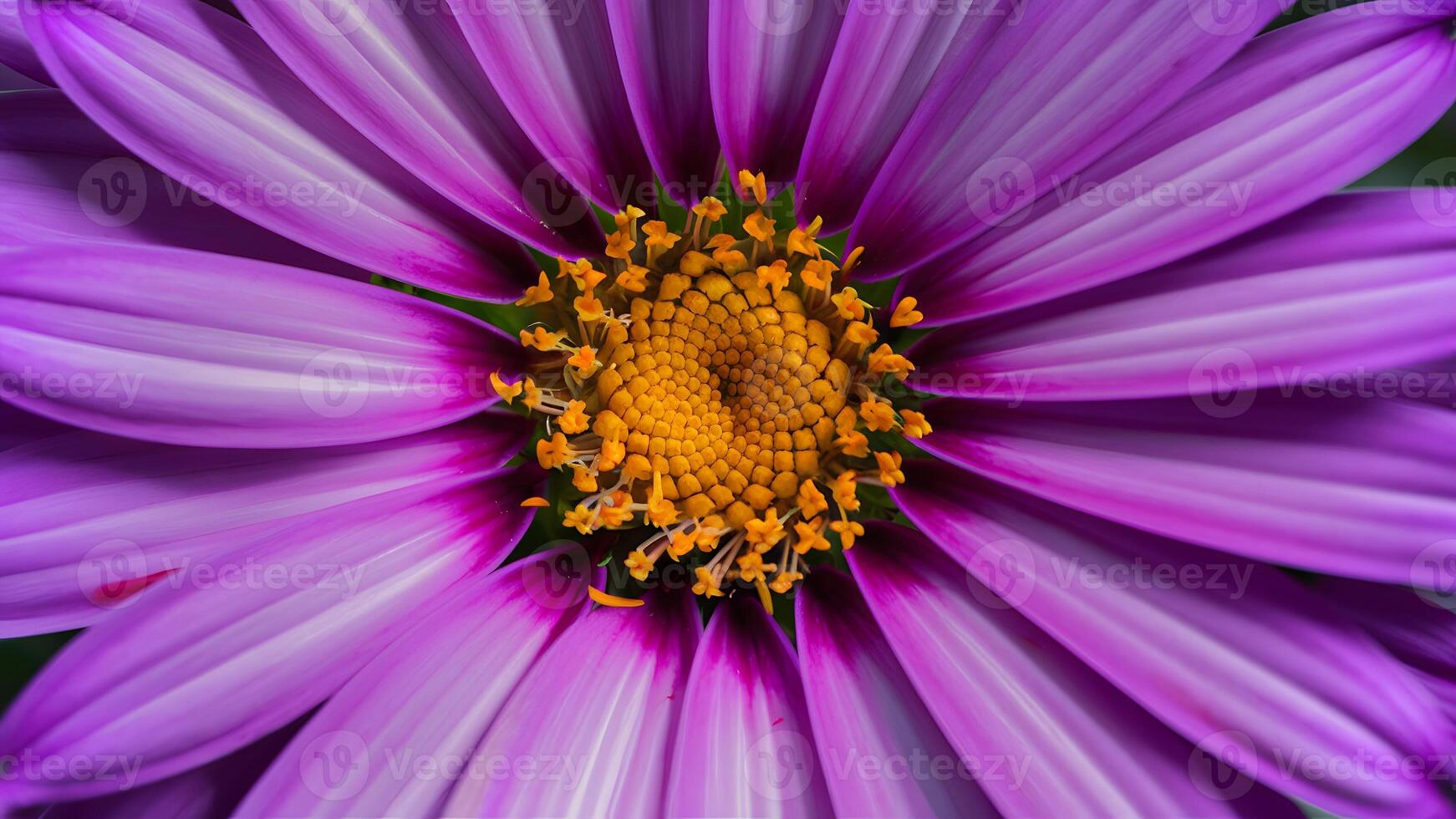 ai generiert violett Blume Makro Schuss schafft ein atemberaubend und beschwingt Hintergrund foto