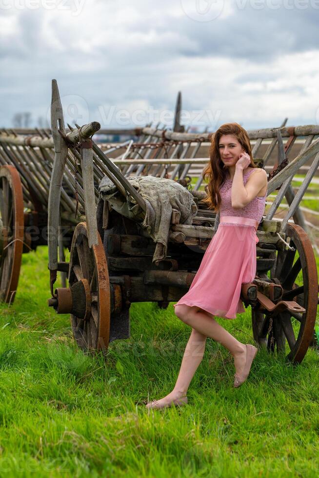 ziemlich jung Frau im ein Rosa Kleid im Vorderseite von ein Pferd gezeichnet Wagen foto