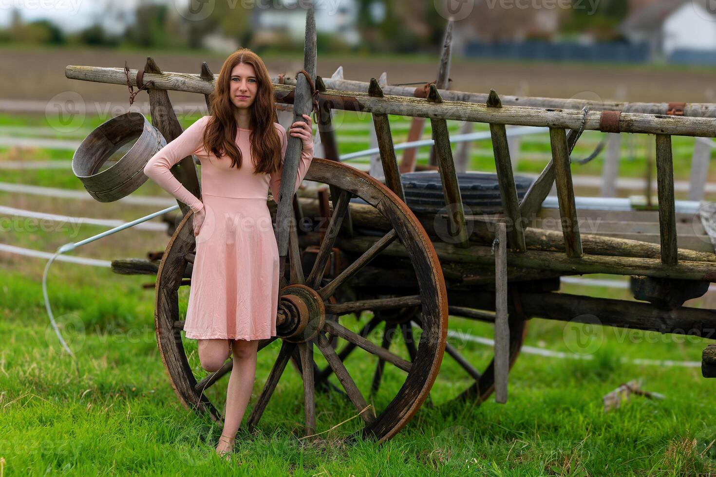 ziemlich jung Frau im ein Rosa Kleid im Vorderseite von ein Pferd gezeichnet Wagen foto