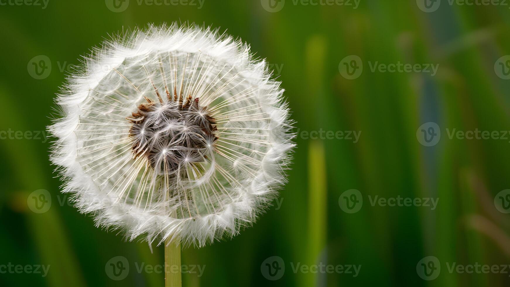 ai generiert Bild abstrakt Löwenzahn Blume Hintergrund, extrem Nahansicht mit natürlich Kunst foto