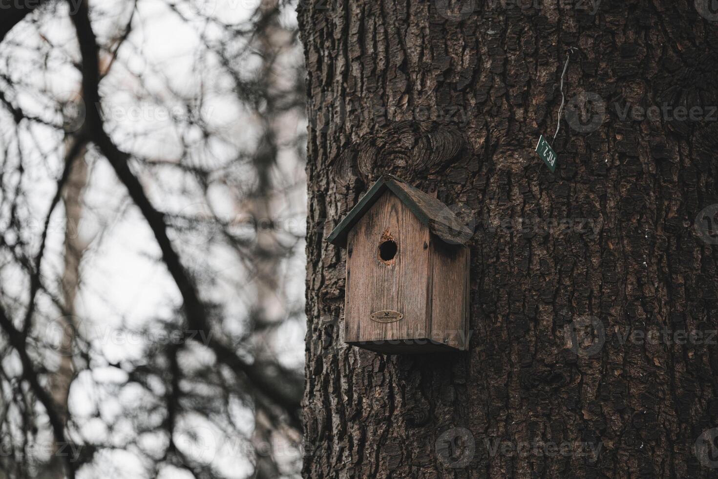 ein Vogelhaus ist Sitzung auf ein Baum Kofferraum foto