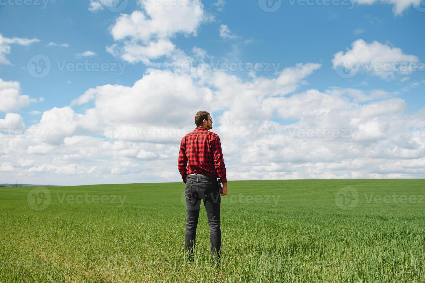 Farmer Gehen durch ein Grün Weizen Feld auf windig Frühling Tag und Prüfung Müsli Pflanzen foto