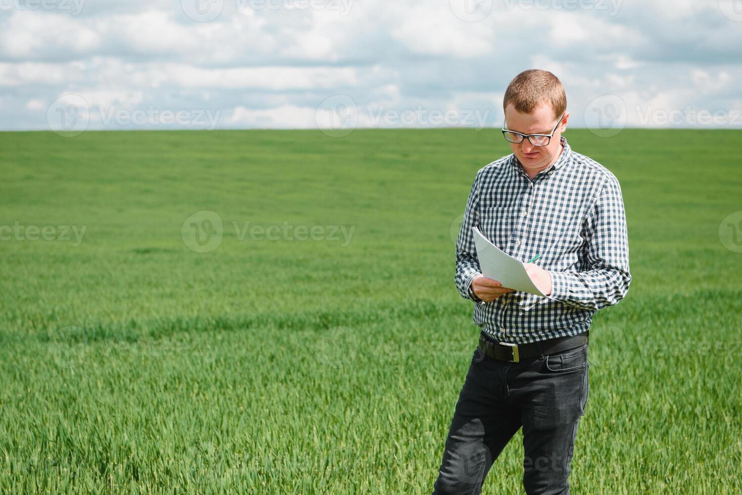 Farmer im rot überprüft Hemd mit Tablette auf Weizen Feld. bewirbt sich modern Technologie und Anwendungen im Landwirtschaft. Konzept von Clever Landwirtschaft und Landwirtschaft. foto