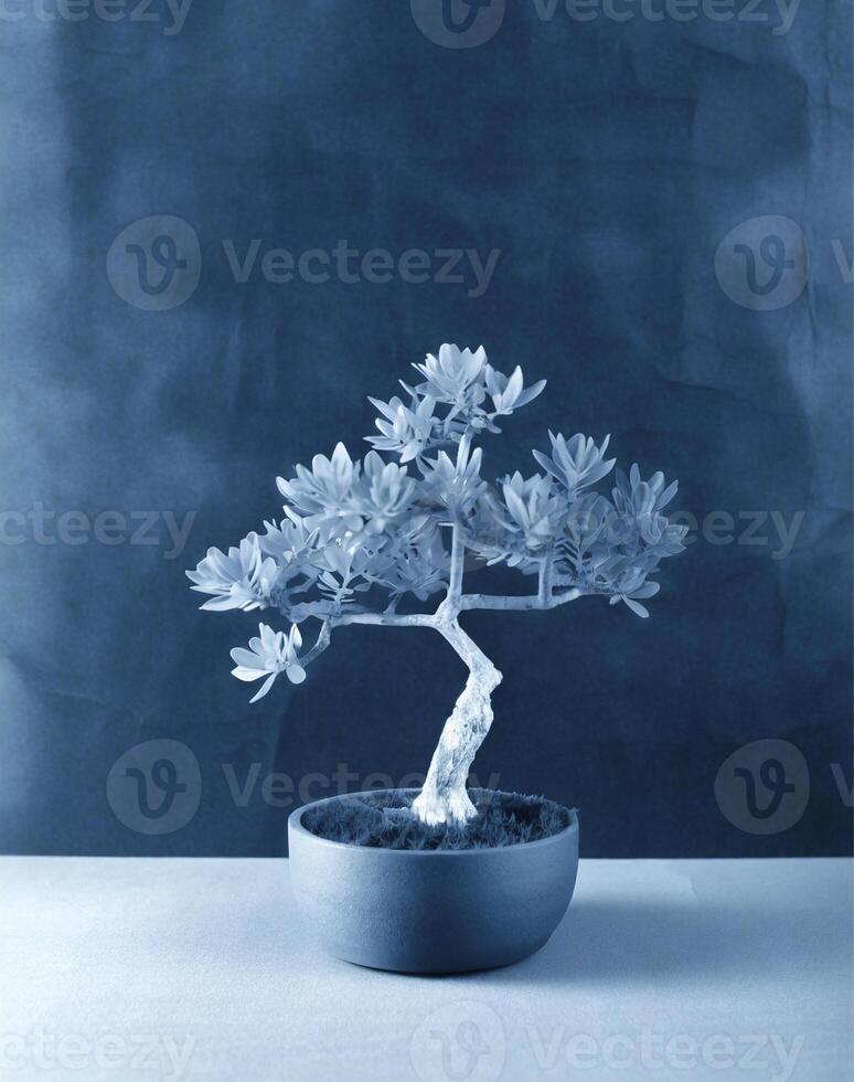 ai generiert ein Cyanotyp von ein Bonsai Baum im Blau Farbe foto