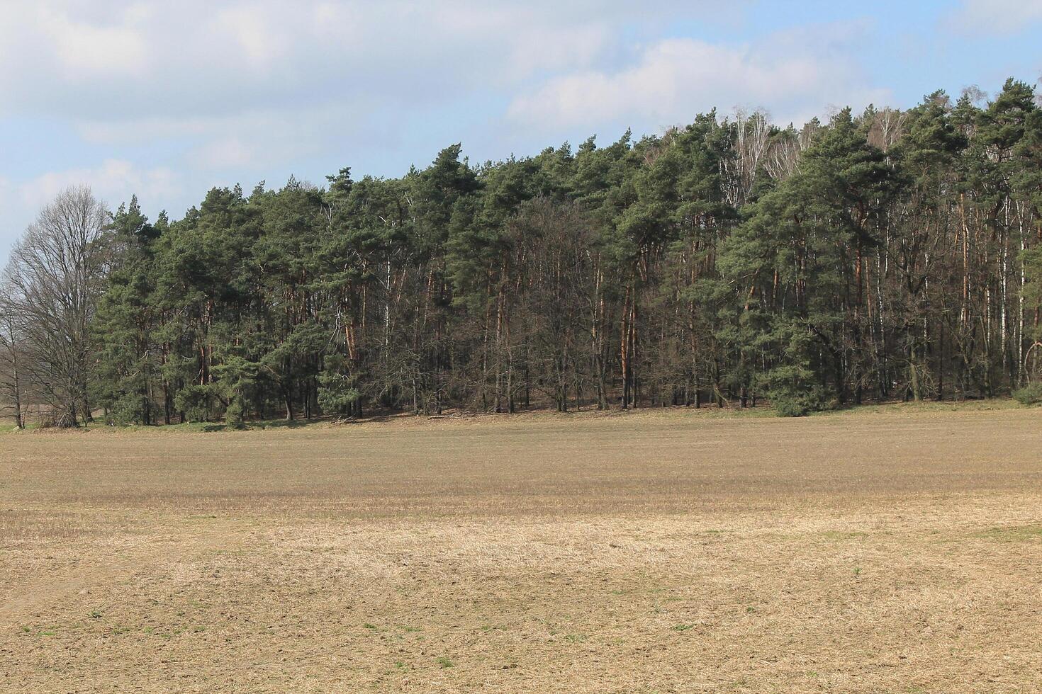 Natur Hintergrund Foto