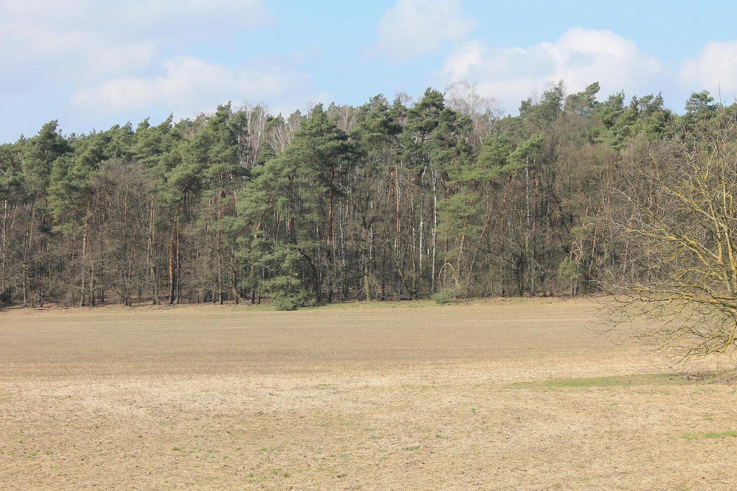 Natur Hintergrund Foto