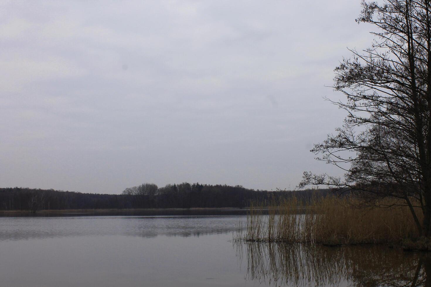 Natur Hintergrund Foto