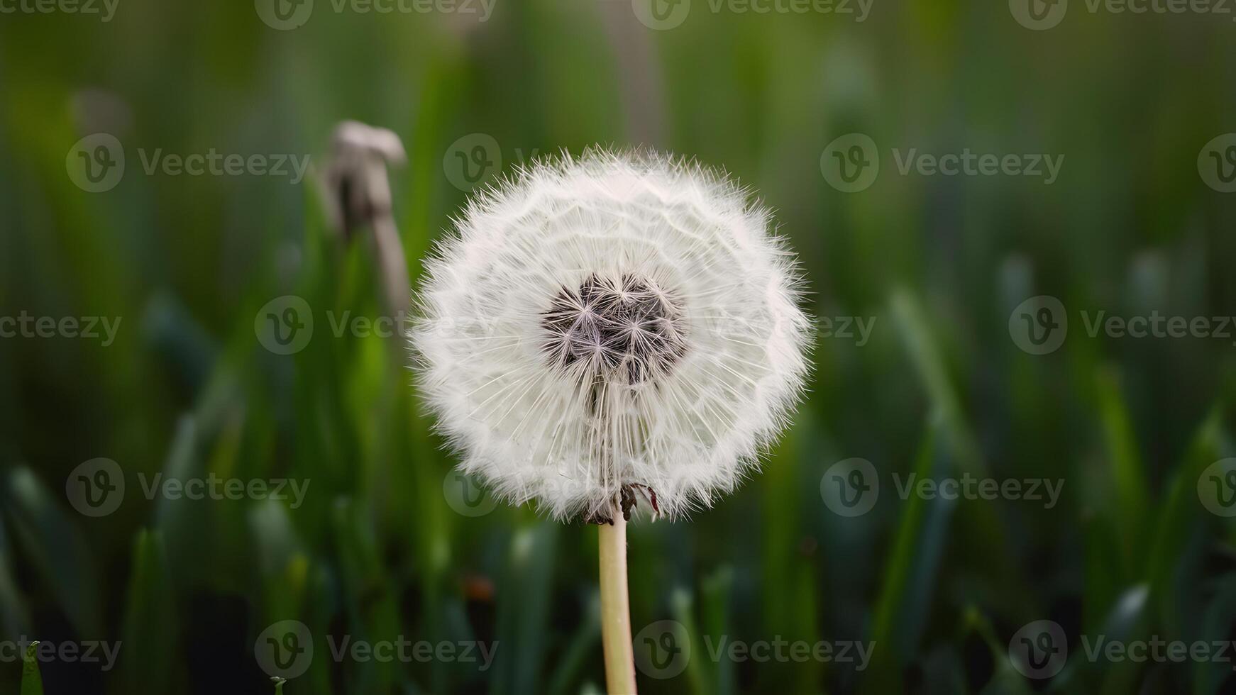 ai generiert Szene extrem Nahansicht von abstrakt Löwenzahn Blume Hintergrund, natürlich Kunst foto