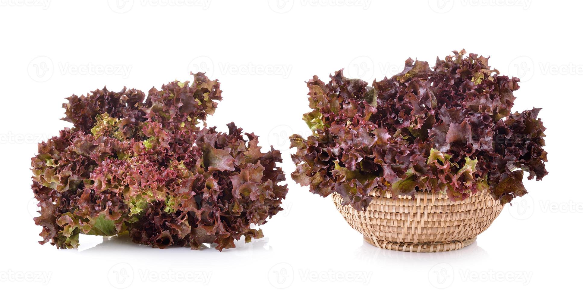 frischer roter Salat isoliert auf weißem Hintergrund foto