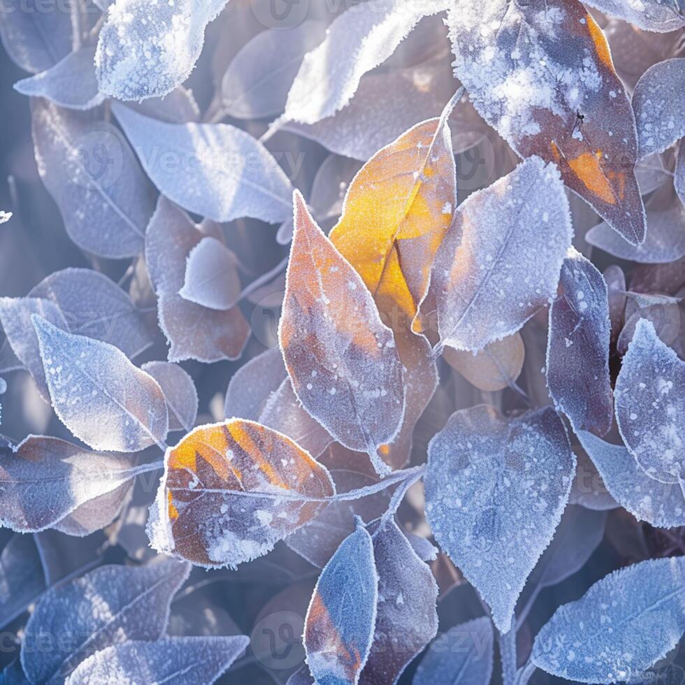 ai generiert extrem Winter Schönheit Frost bedeckt Blätter im ein still schneebedeckt Rahmen zum Sozial Medien Post Größe foto