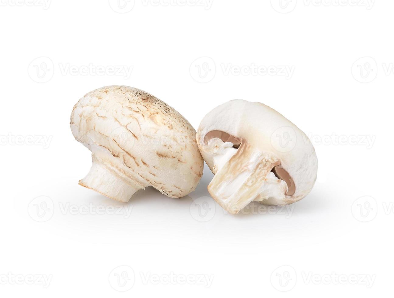 Champignon-Pilz isoliert auf weißem Hintergrund foto