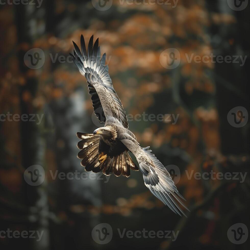 ai generiert kahl Adler fliegend mit Wald im das hintergrund.generativ ai foto