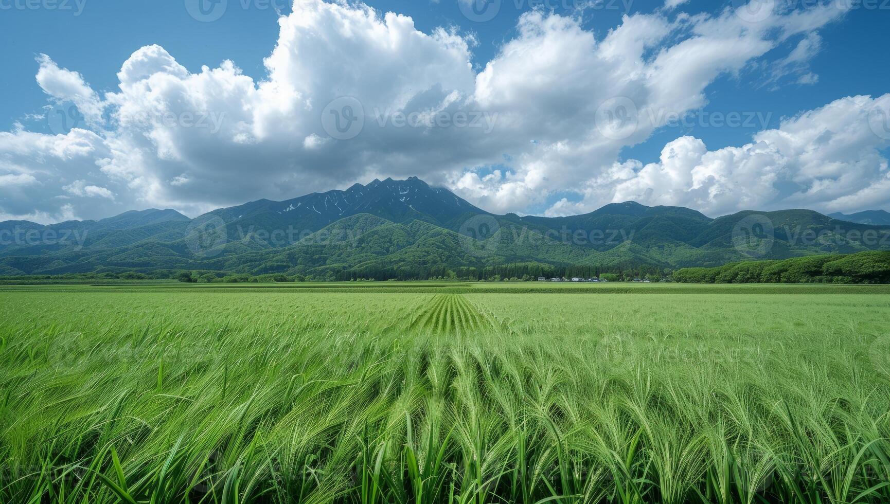 ai generiert heiter Landschaft von üppig Grün Weizen Feld mit majestätisch Berge im das Entfernung unter ein teilweise wolkig Blau Himmel. Konzept von Natur, Landwirtschaft, und Ruhe. foto