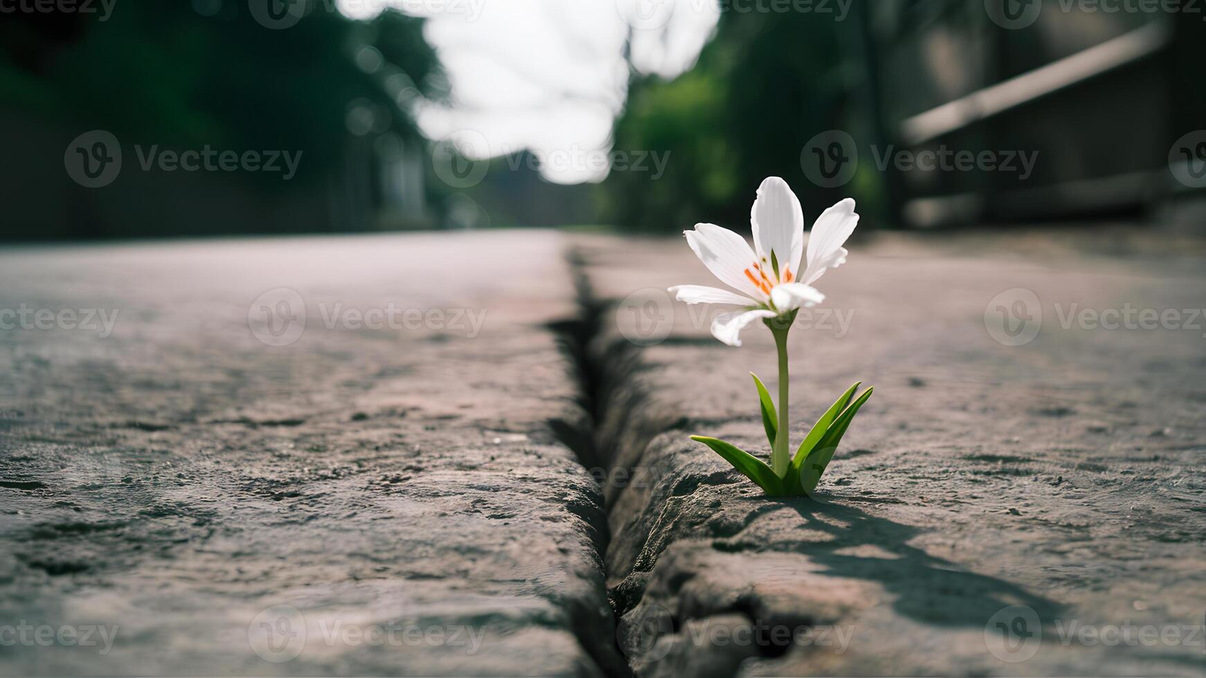 ai generiert Sanft Fokus erfasst Weiß Blume entstehenden von Riss auf Straße foto