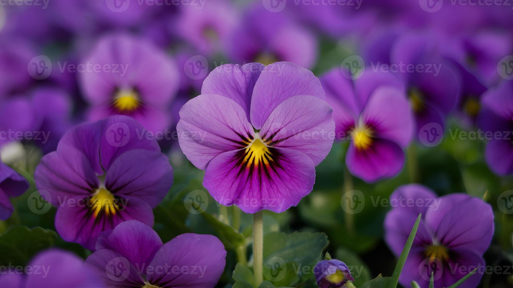 ai generiert Herrlich Natur im abstrakt Konzept, schön lila violett Blume foto