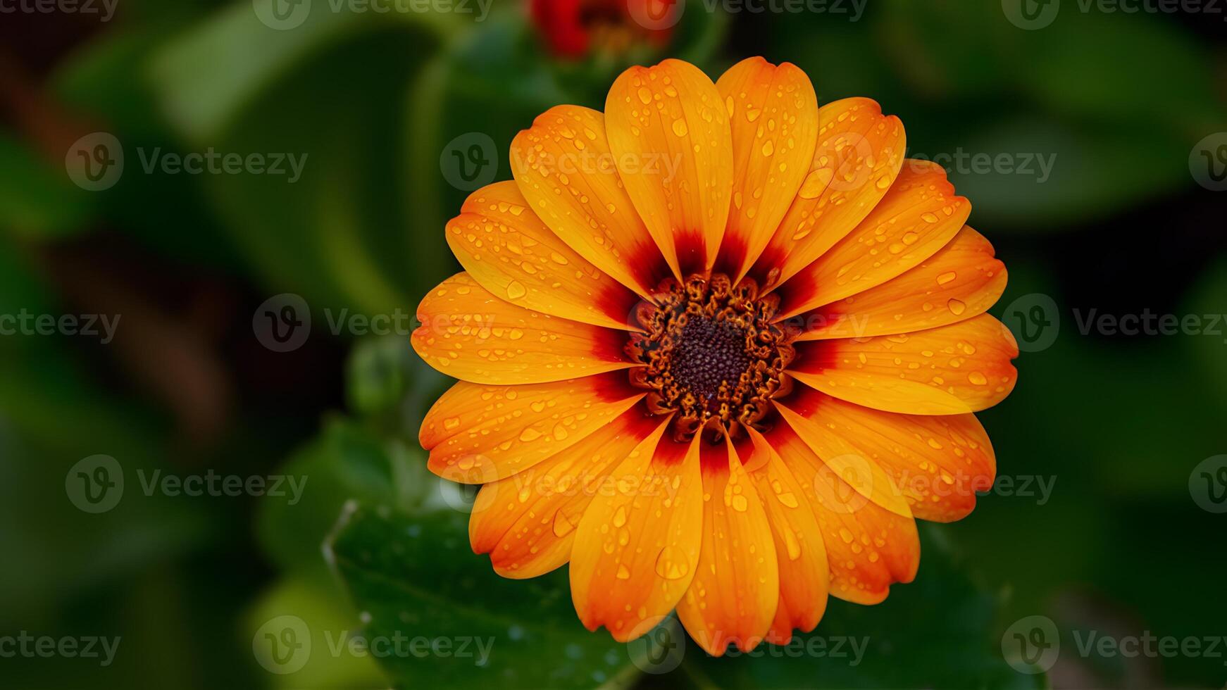 ai generiert hell Zier Garten Hintergrund mit Regen Tröpfchen auf Orange Blume foto