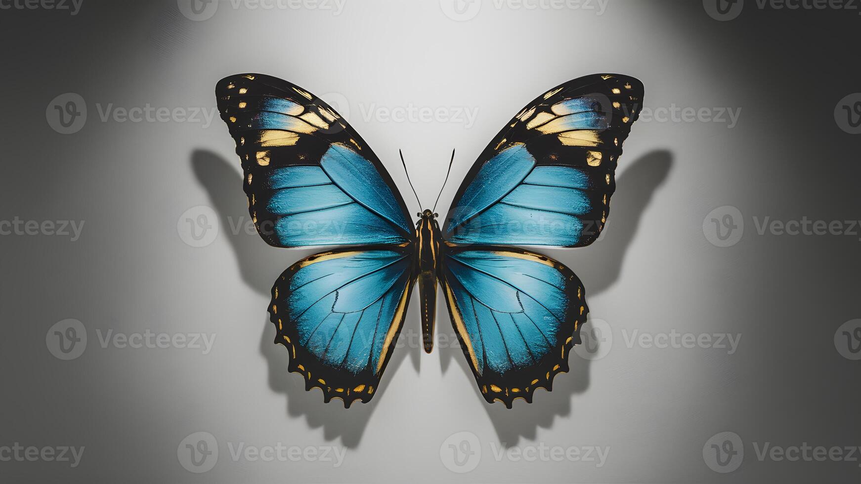 ai generiert Blau bunt Schmetterling auf Weiß Hintergrund im Studio Beleuchtung foto
