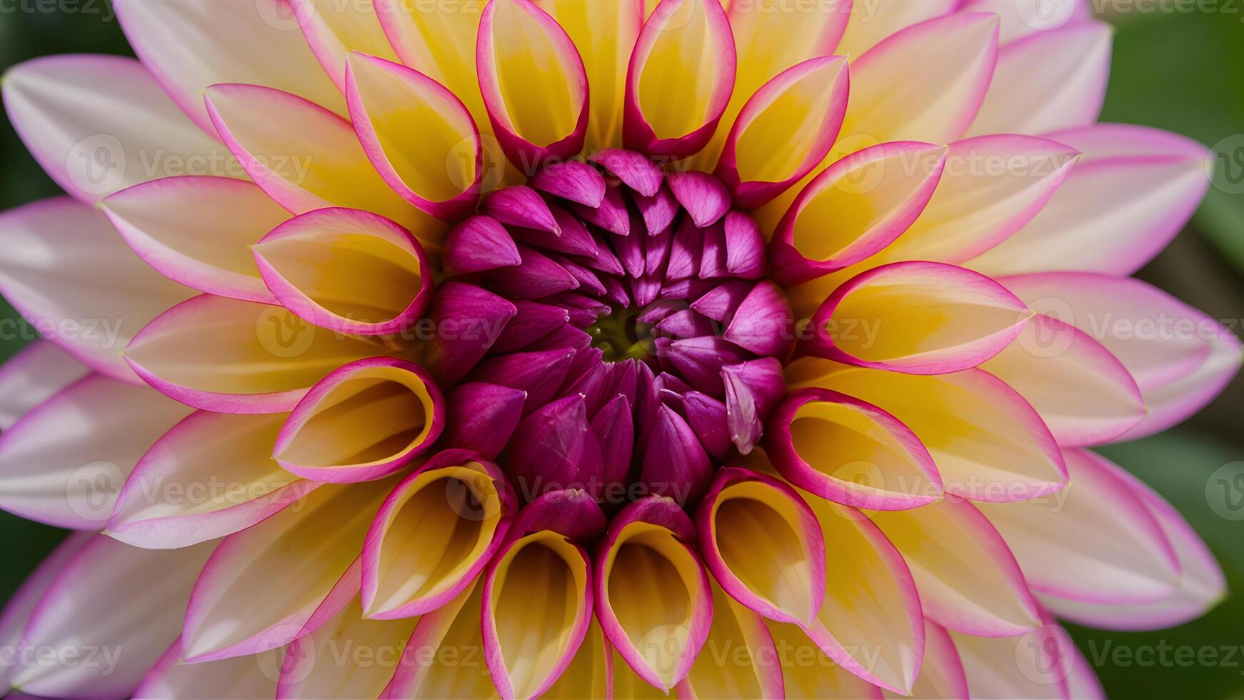 ai generiert stockphoto detailliert schließen oben von Dahlie Blume Blütenblätter im Herbst Farbtöne foto