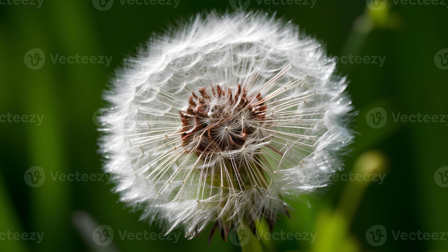 ai generiert img schließen oben von Löwenzahn Blume Vitrinen kompliziert Einzelheiten auf Grün foto