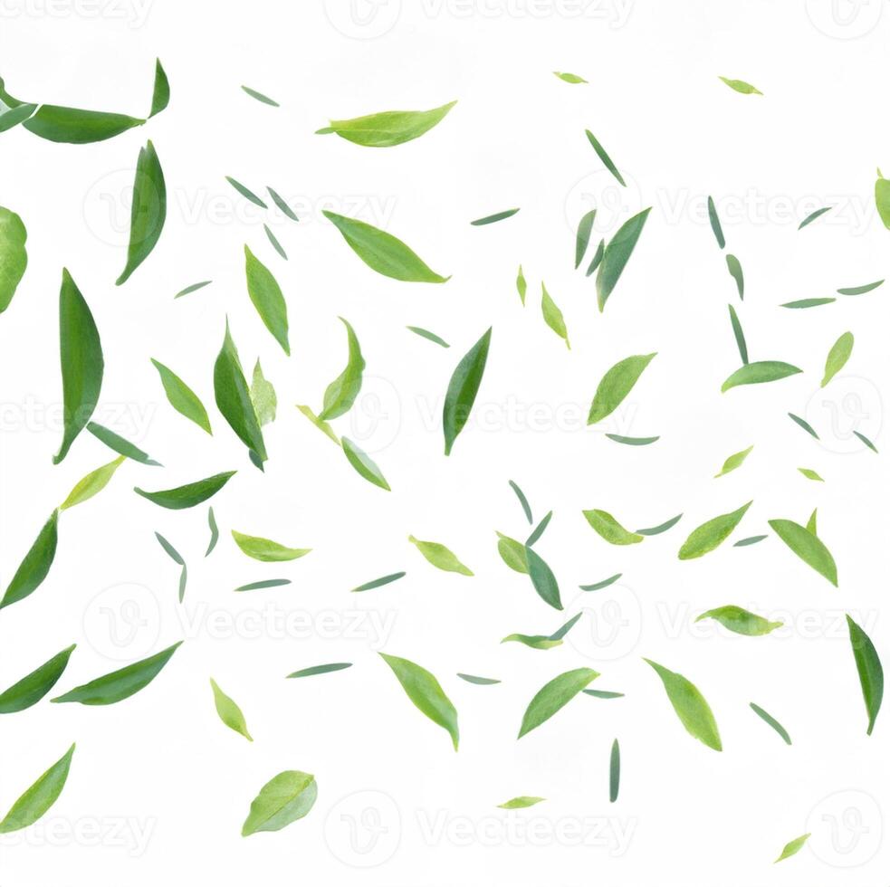 frisch Grün Blatt auf Weiß Hintergrund foto