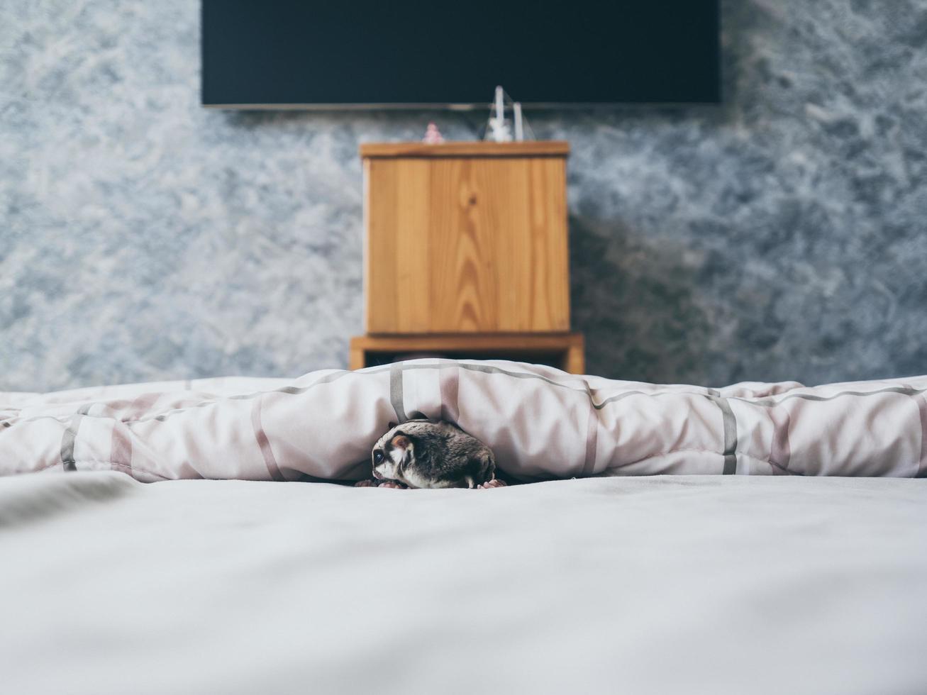 Brille im Schlafzimmer foto