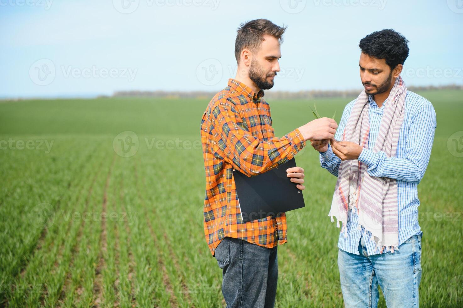 zwei indisch Bauern Stehen beim Landwirtschaft Feld. foto