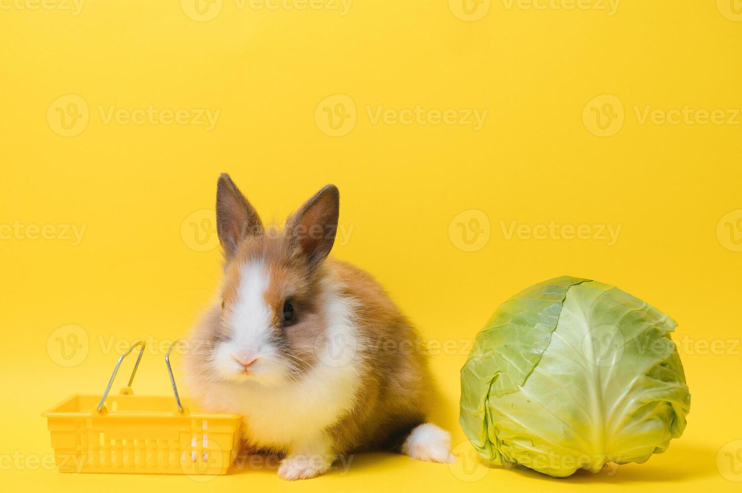 Hase Stehen und halt das Einkaufen Wagen auf farbig Hintergrund. schön Aktion von jung Hase wie Einkaufen. foto