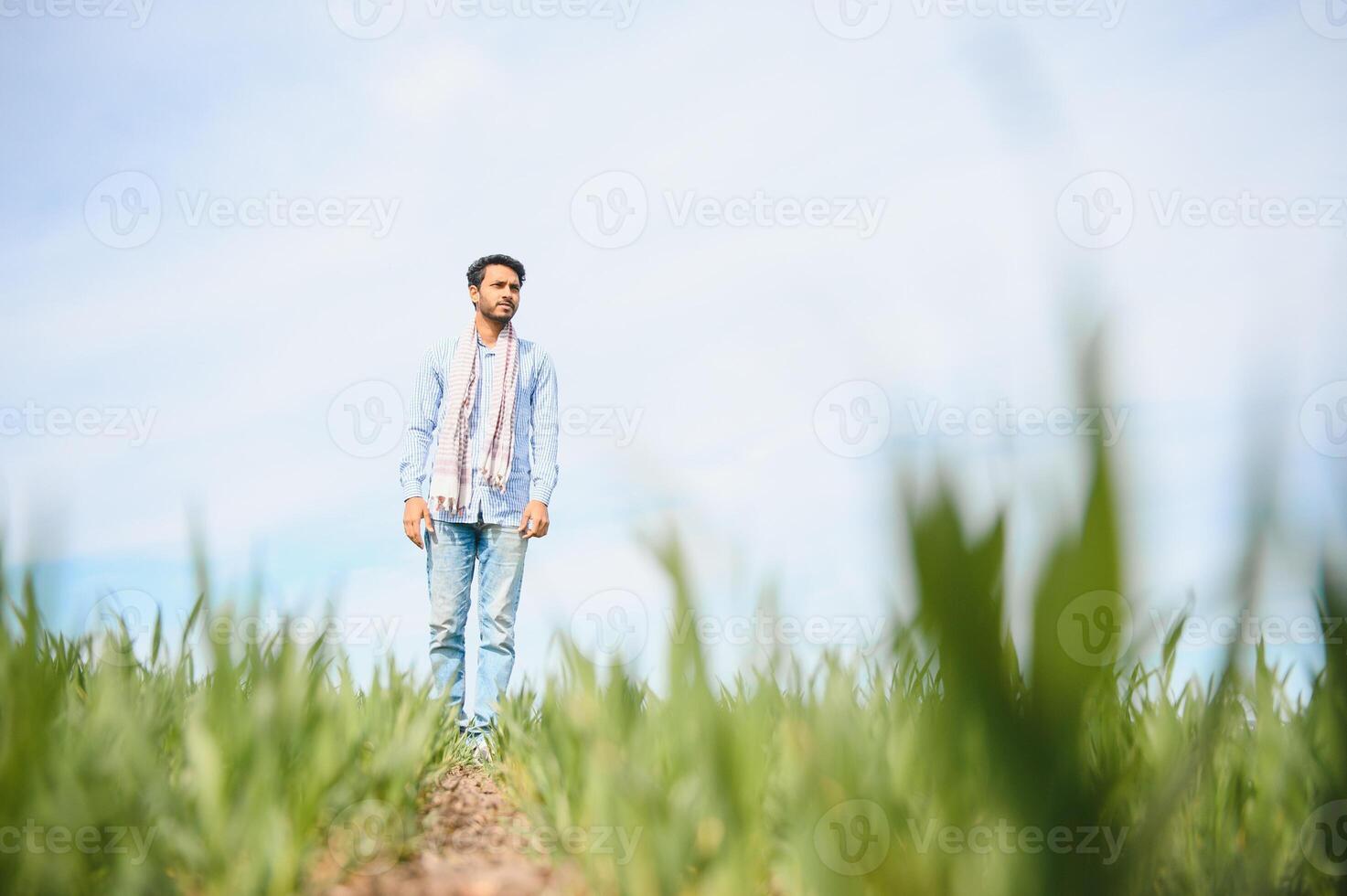 Porträt von jung indisch Farmer tragen formal Kleid im Grün Paddy Feld. foto