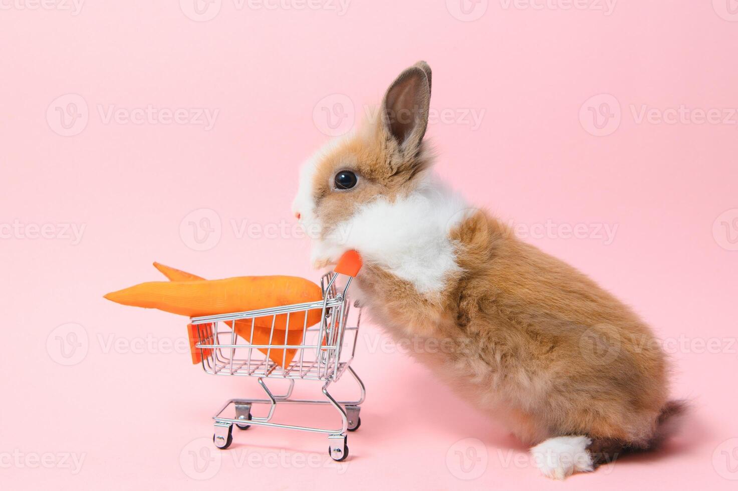braun süß Baby Hase Stehen und halt das Einkaufen Wagen mit Baby Möhren. schön Aktion von jung Hase wie Einkaufen. foto
