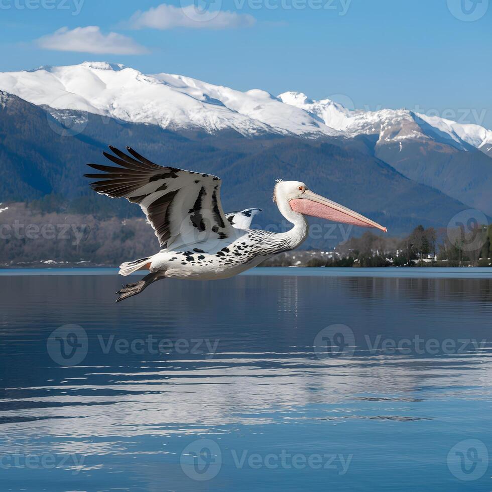ai generiert Dalmatiner Pelikan fliegend Über heiter See mit Schnee gekappt Berge zum Sozial Medien Post Größe foto