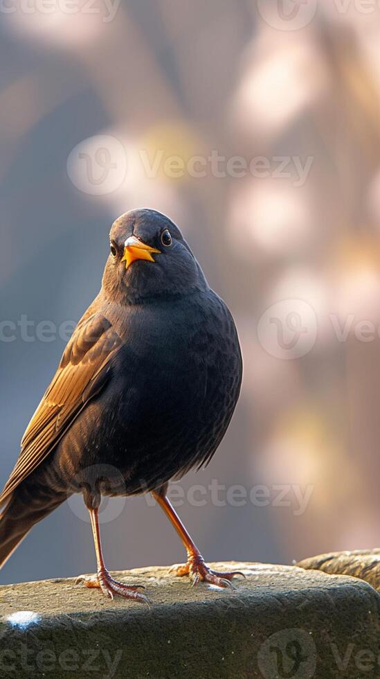 ai generiert glatt Amsel ruht auf ein charmant niedrig Stein Barriere Vertikale Handy, Mobiltelefon Hintergrund foto