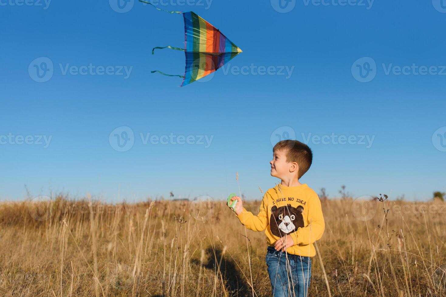 wenig Junge spielen mit Drachen auf Wiese. Kindheit Konzept foto