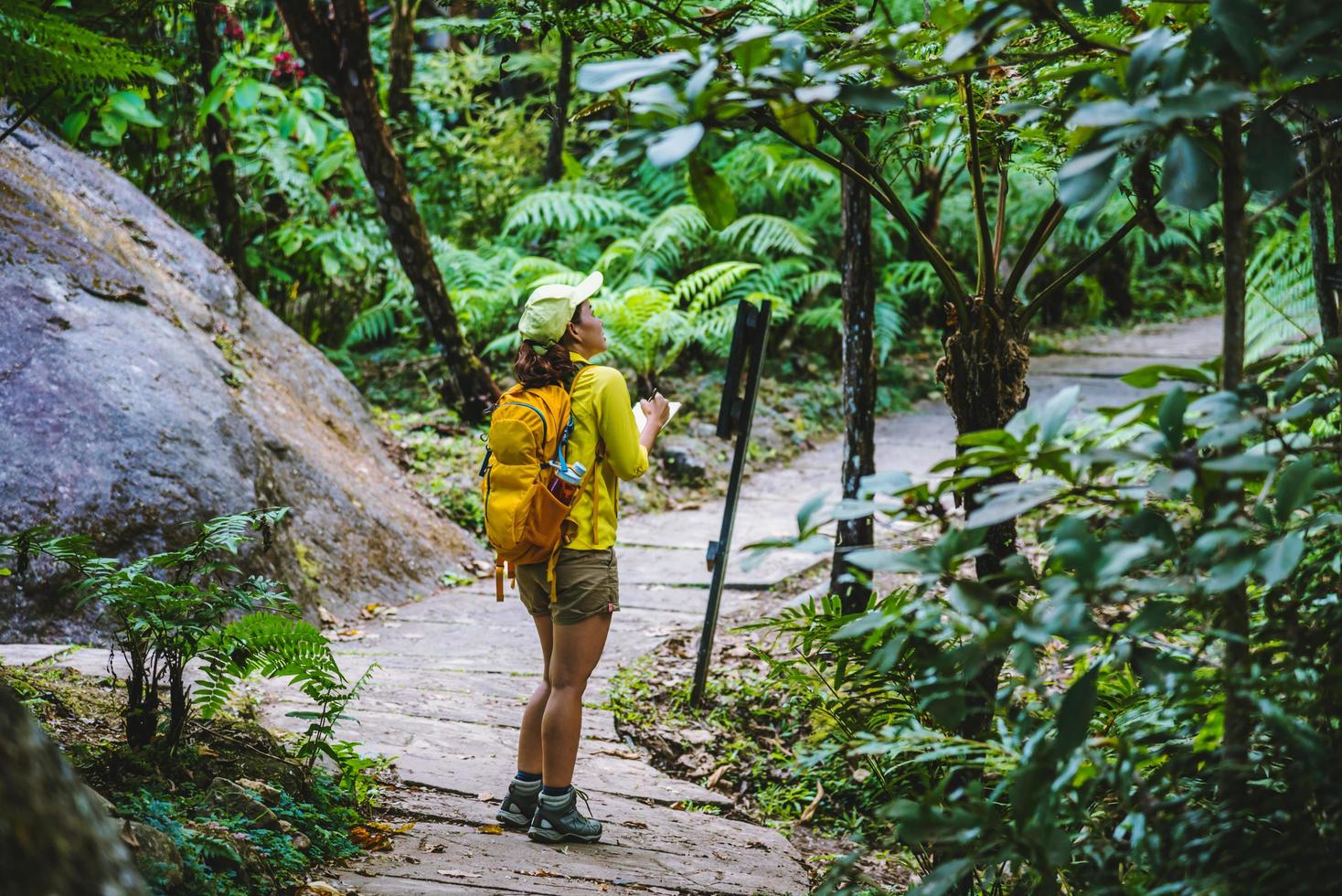 Reisen, um die Natur im Regenwald junger Frauen zu studieren. foto