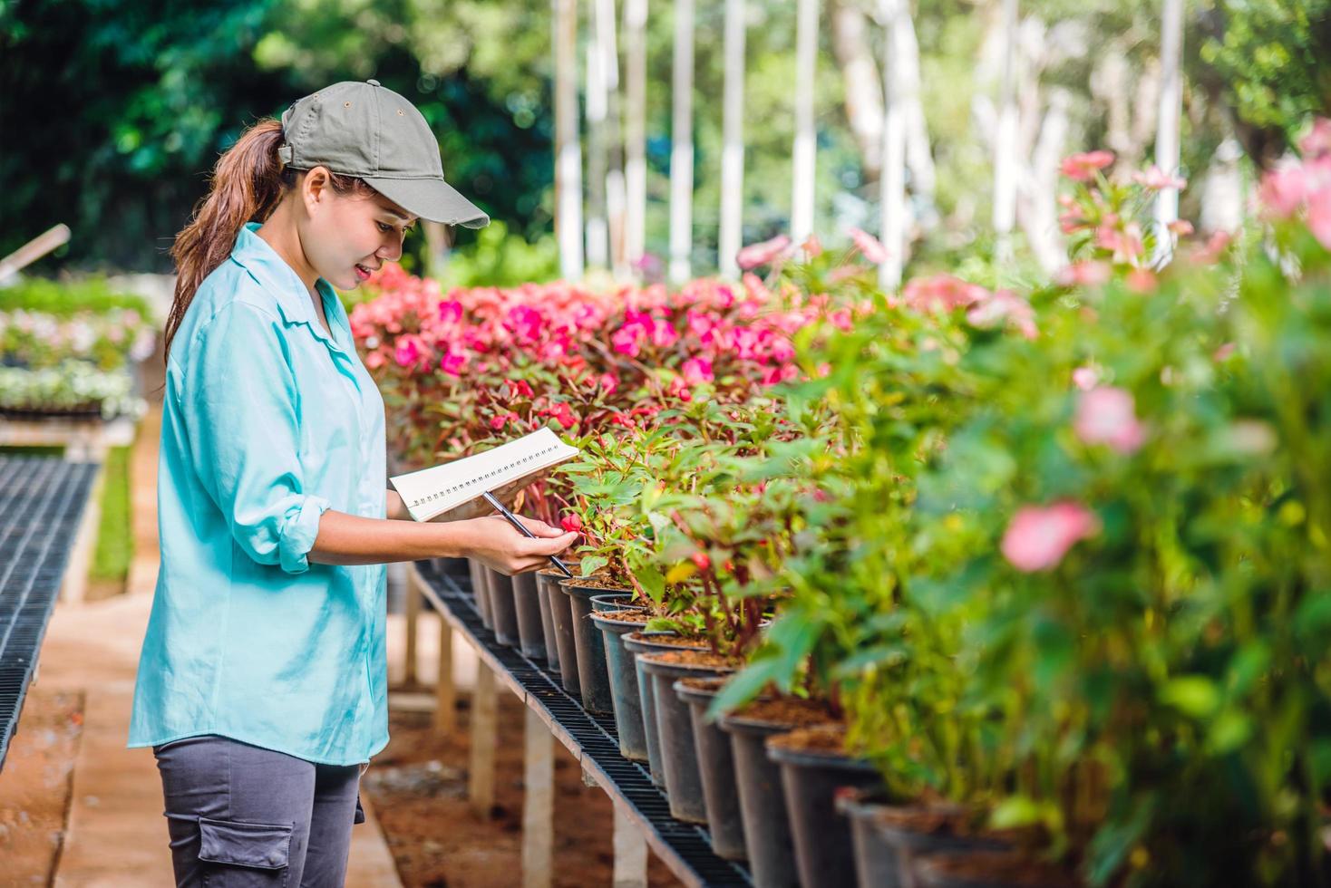 das mädchen studiert und spart den baumwechsel, blumen schöner hintergrund in naturbauern foto