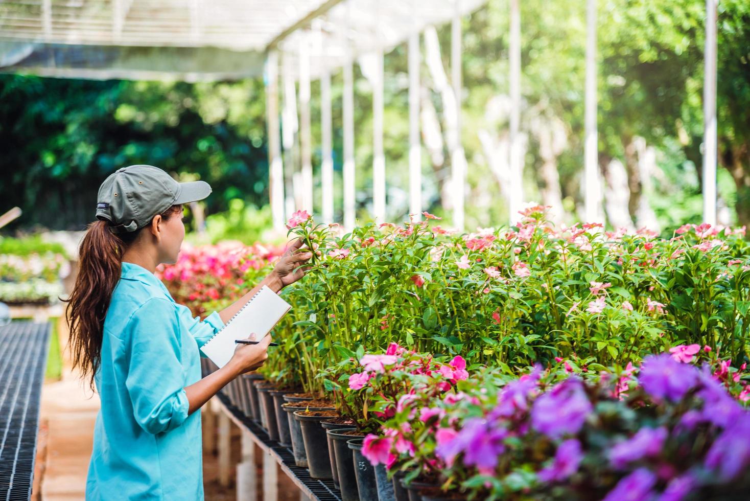 das mädchen studiert und spart den baumwechsel, blumen schöner hintergrund in naturbauern foto