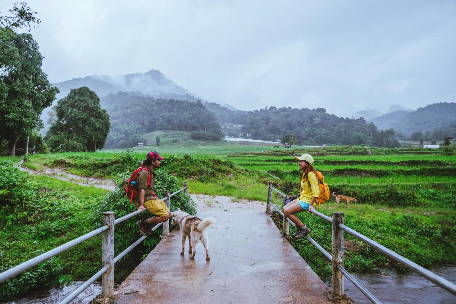 Liebhaber asiatischer Mann asiatische Frauen reisen Natur. wandern ein foto das reisfeld und halt machen eine pause entspannen auf der brücke bei ban mae klang luang in der regenzeit.
