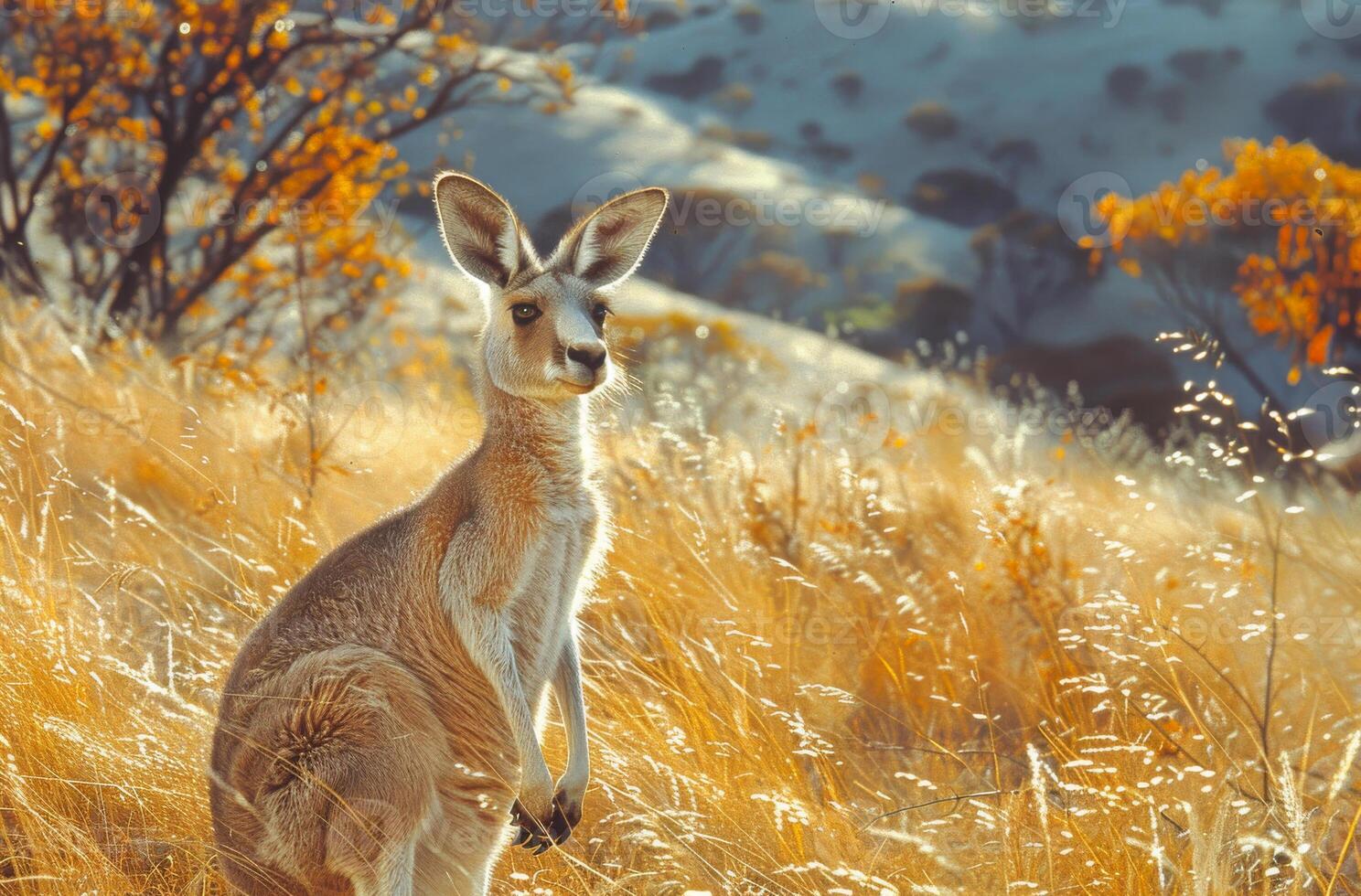 ai generiert Känguru Sitzung im das Gras im das Morgen Licht foto